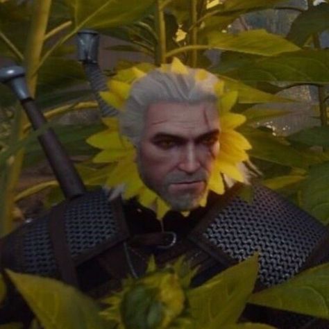 The Witcher, Sunflower, Hair