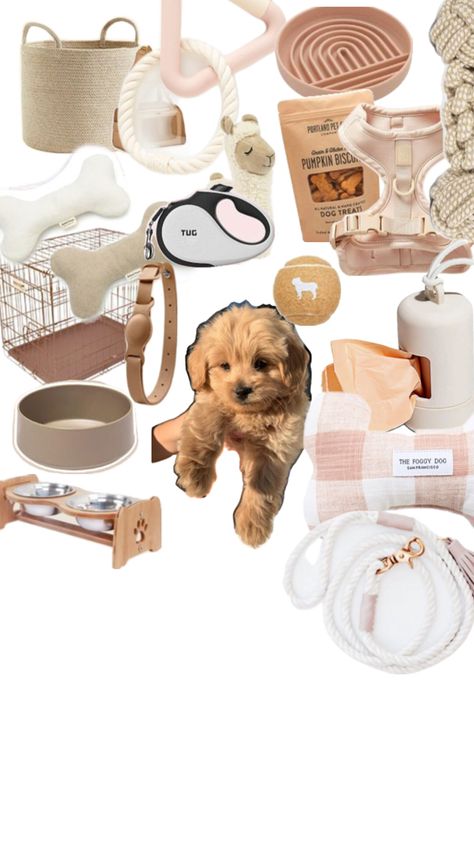 Puppy Room Decor, Dog Room Design, Dog Supplies List, New Puppy Checklist, Puppy Checklist, Puppy Room, Preppy Dog, Cute Dog Toys, Dog Essentials