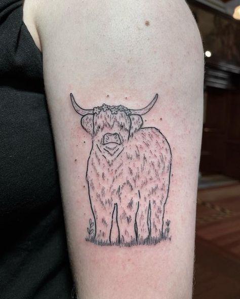 Highland Cows Tattoos, Highland Cow Tattoo, Cottagecore Tattoo, Cow Tattoo, B Tattoo, Line Work Tattoo, Beck, Blackwork Tattoo, Tattoo Style