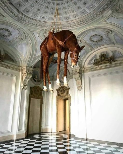 Maurizio Cattelan, Taxidermy Art, Equestrian Art, T Art, Famous Art, Italian Artist, Contemporary Artist, Conceptual Art, Funky Art