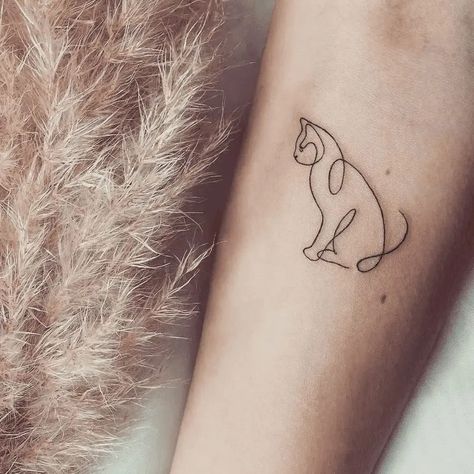 Tattoo Ideas For Cats, Tattoo On Calf For Women, Small Calf Tattoos For Women, Tattoos For Cats, Small Cat Tattoo Ideas, Stomach Tattoos For Women, Stomach Tattoo Ideas, Perfect Stomach, Bald Eagle Tattoos