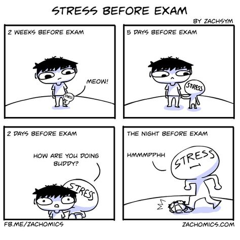 9 Funny Comics About The Challenges Of Exam Season Exam Pictures, Night Before Exam, Nice Dp For Whatsapp, Before Exam, Exams Memes, Exam Season, Mythical Beings, Exams Funny, Comic Book Drawing