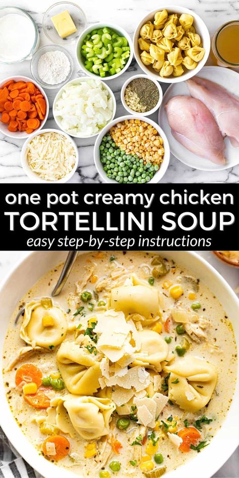 Easy One-Pot Chicken Tortellini Soup Food Flavors, Chicken Tortellini Soup, Chicken Tortellini, Night Recipes, Pot Pie Soup, Creamy Chicken Soup, Tortellini Recipes, One Pot Meal, Easy One Pot Meals