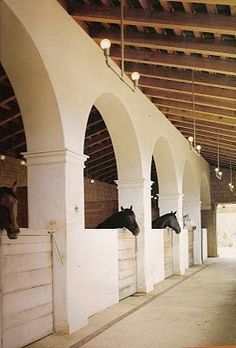 20 Absolutely Breathtaking Barn Aisles Barn Stalls, Horse Barn Designs, Dream Stables, Dream Horse Barns, Horse Stable, Equestrian Facilities, Stables Design, Barn Plans, Dream Barn