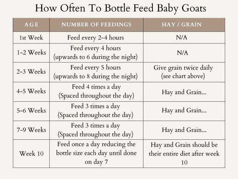 Bottle Feeding Goats, Indoor Goat Pen Ideas, Farm Binder, Goat Kidding Kit, Land Layout, 4h Goats, Goat Feed, Farm Goats, Goat Life