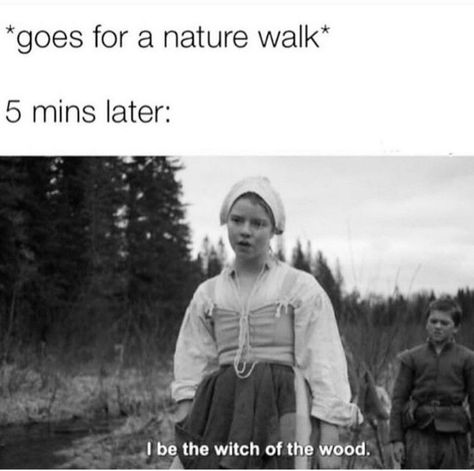 I be the witch of the woods. Witchcraft meme 😂 Funny Witch Memes Humor, Witch Memes Hilarious, Witchcraft Memes Funny, Mother Hecate, Witch Jokes, Witch Meme, Funny Witch, Witch Quotes, Witchy Stuff