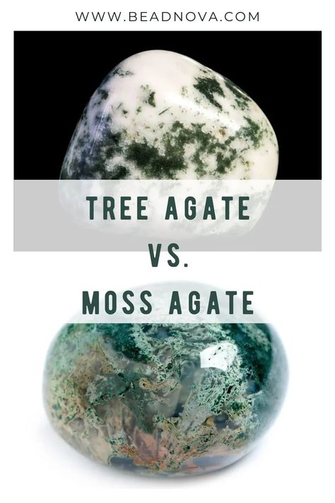 The main visual difference between tree and moss agate is transparency. Second, as their names suggest, moss agate has mossy inclusions, while tree agate has lovely branch formations. Tree Agate Crystal Meaning, Spiritual Awakening Higher Consciousness, Crystals Energy, Spiritual Awakening Signs, Tree Agate, Gemstone Meanings, Crystal Meanings, Energy Crystals, Gemstone Healing