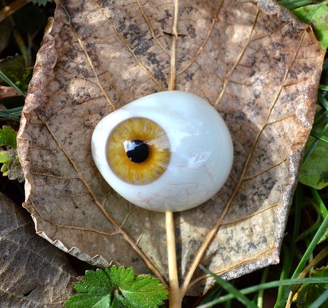 Glass Eye Prosthetic, Sean Core, Alex Keller, Prosthetic Eye, Globe Photography, Oc Board, Light Brown Color, Eye Photography, Ap Art