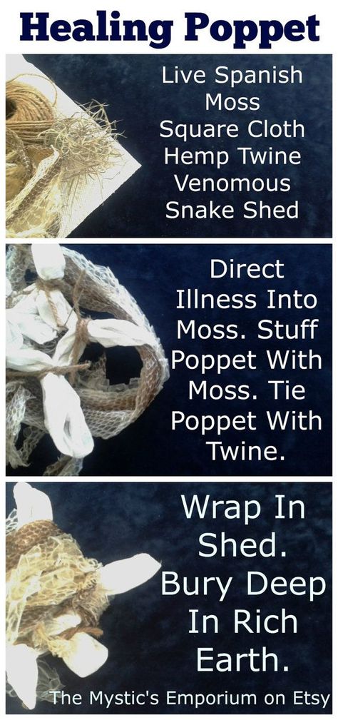 Witch Basics, Witch Ingredients, Poppet Dolls, Wicca Healing, Spirit Warrior, Rattlesnake Skin, Tillandsia Usneoides, Venomous Snake, Snake Shedding