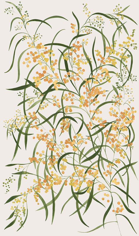 Painted Australian Native Flowers | Wattle, Botanical, Floral Pattern, Yellow Australian Wildflowers, Australian Flowers, Australian Native Flowers, Australian Plants, Textil Design, Australian Native Plants, Australian Flora, Plant Aesthetic, Australian Native