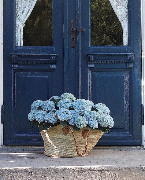 Imagine if a beautiful basket of blue hydrangeas landed at your door   Well it may be winter in Australia but in Norway the hydrangeas are blooming and have landed at the door of @ranli_   I head back to Europe Sunday night but sadly Norways not on my itinerary but its definitely on the bucket list.     #hydrangeas #hydrangealove #hydrangeasaremyfavourite #hydrangealanehome #hydrangea #hydrangeagarden #hydrangeaseason #bluehydrangea #bluedoor #bluedoors #navyblue #marketbasket #strawbasket #trav Hydrangea Cottage, Flower Therapy, Blue Door, Blue Hydrangea, Feeling Blue, My New Room, Blue Aesthetic, Summer Aesthetic, Pretty Flowers