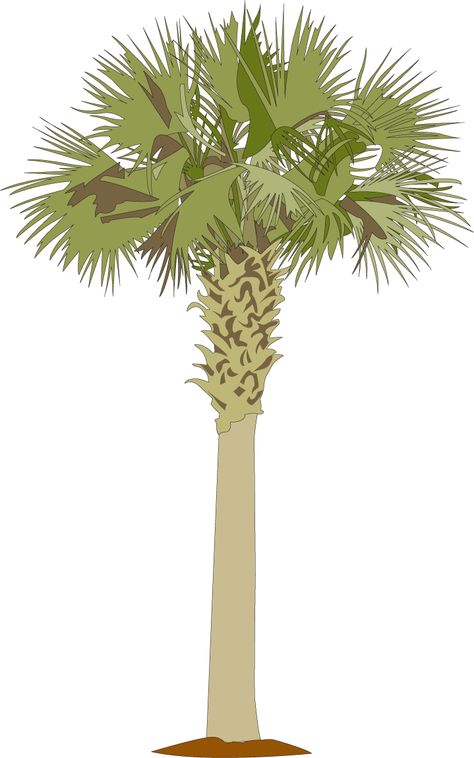 Free Cartoon Characters, Palmetto Tree, Florida Decor, Tree Tattoos, Arm Band Tattoo, Tree Logos, Free Cartoons, Band Tattoo, Architecture Rendering