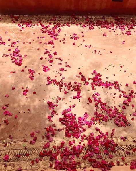 Pinky Promise, Pink Sky, Rose Petals, Red Peppercorn, Pretty In Pink, Morocco, Desi, Mood Board, Valentines