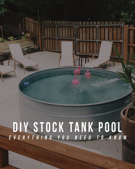 The adult kiddie pool: Stock tank pools will pop up in more backyards this summer, thanks to their low cost and easy installation (searches for “stock tank pools” +300%) Diy Stock Tank Pool, Stock Pool, Stock Tank Swimming Pool, Tank Swimming Pool, Pool Deck Decorations, Stock Pools, Diy Stock Tank, Stock Tank Pool Diy, Pool Diy