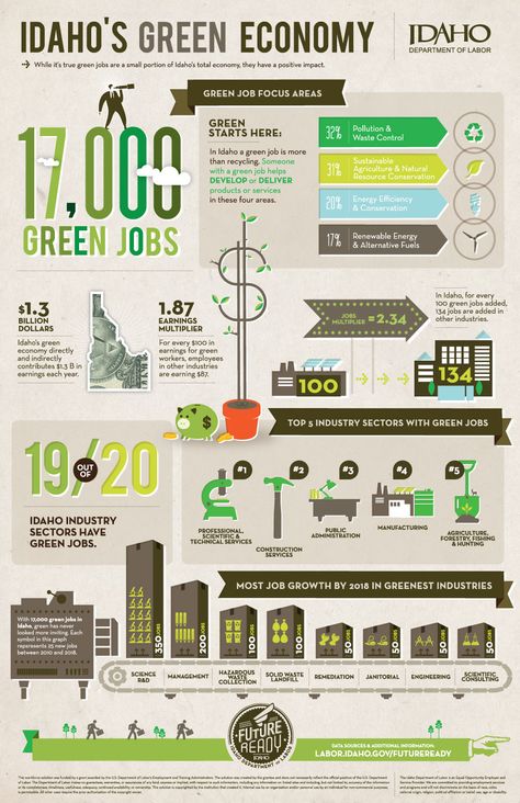 Economy Infographic, Green Economy, Infographic Layout, Green Jobs, Infographic Inspiration, Research Poster, Alternative Fuel, Data Visualization Design, Study Flashcards