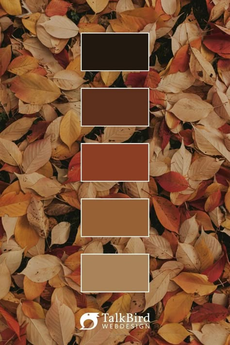 Egy újabb őszi faevelek színpaletta | Another color palette of autumn tree leaves 😊 Fall Earth Tone Color Palette, October Colour Palette, Autumn Forest Color Palette, Vintage Autumn Color Palette, Autumn Colour Pallet, Autumnal Color Palette, Autumn Pallet, Leaves Color Palette, Paint Color For Living Room