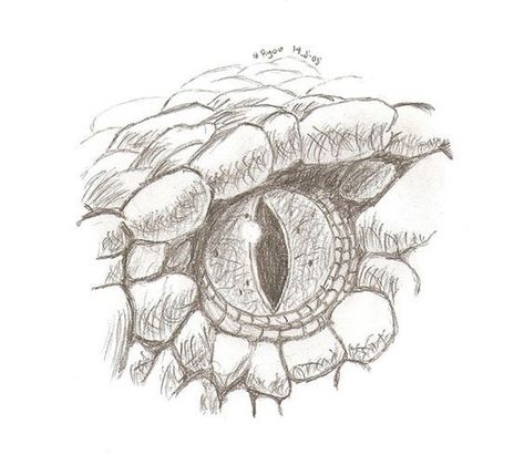 cool Eyes Snake Tattoo, Snake Eye Drawing Sketch, Snake Simple Drawing, Snake Reference Drawing, Cool Snake Drawings, Snake Eyes Drawing, Snake Eye Drawing, Snake Eye Tattoo, Snake Eyes Tattoo