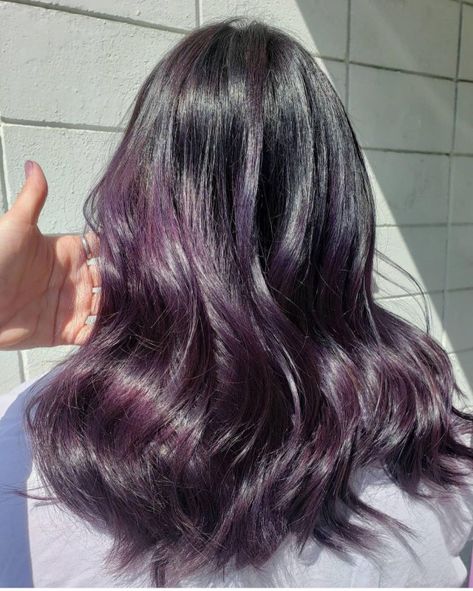 Blackberry Hair Color Dark Short, Hair Color Ideas Plum, Blueberry Hair Color, Blackberry Hair Color, Blueberry Hair, Blackberry Hair, Blackberry Hair Colour, 2024 Haircut, Dark Purple Hair Color