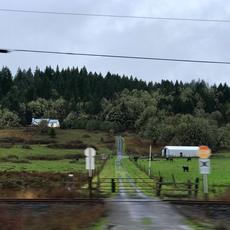 A Free Range Hen Farm in Oregon Photo by jaxiejax Hen Farm, Stick Season, Free Range, Small Town, Pacific Northwest, North West, Small Towns, Hen, Soccer Field