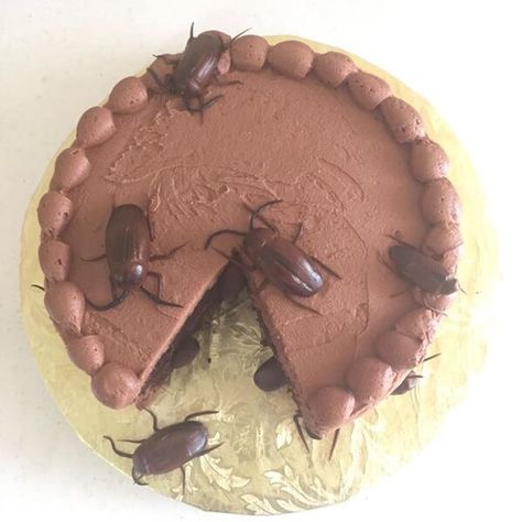 Cockroach Insect cake Cockroach Cake, Insect Cake, Silly Cakes, Lizard Cake, Shark Cake, Doll Cake, Cake Board, Halloween Food For Party, Halloween Food