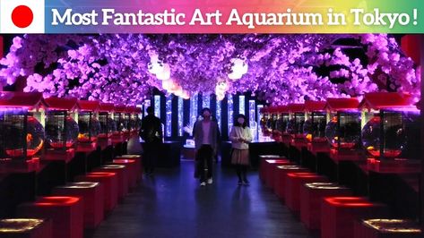 【Summary】 Today we’re going to the Tokyo art aquarium! We’ll see amazing digital art made by the fusion of goldfish and fantastic lights. So, guys, let’s get started! 【Contents】 00:00 Intro 00:16 Heading to The Venue (Mitsukoshi) 01:33 Ginza Mantoro (Lanterns) 01:50 Goldfish Corridor 02:47 Goldfish Collection 03:35 Goldfish Cabinet 03:57 Shojirium 04:03 Goldfish Waterfall [...] The post 【Tokyo Art Aquarium】One of The Most Fantastic Spots in Tokyo! – Art Aquarium Museum Ginza ap Tokyo Art, Japanese Sake, Shizuoka, Tourist Spots, Fantastic Art, Goldfish, Cool Gifs, Floral Wedding, Tokyo