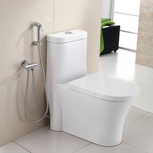 Bidet Sprayer Bathroom, Toilet Bidet Spray, Bidets In Bathrooms, Accessible Bathroom Design, Small Modern House Plans, Hampton Home, White Toilet, Toilet Spray, Accessible Bathroom