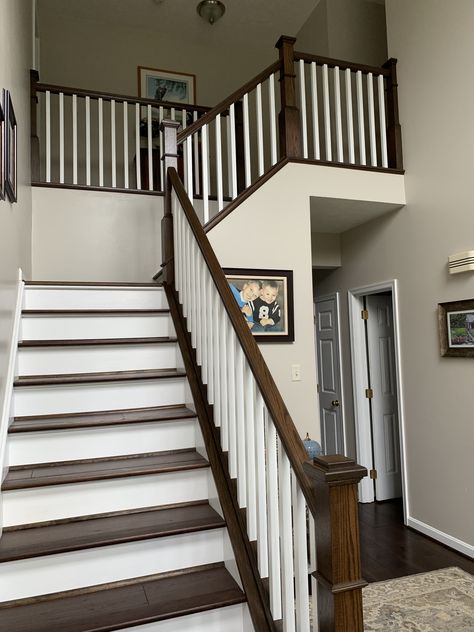 Stair Railing Ideas Dark Floors, Dark Floor Staircase, Dark Wood Bannister, Dark Wood Railing, Cherry Wood Staircase, Espresso Stained Stairs, Dark Brown Stair Railing, Dark Wood Hallway, Dark Railing Staircase