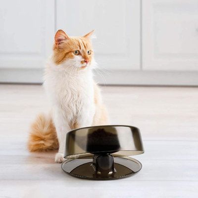 Tilted Cat Bowl: The 0-22 ° tilt design can freely adjust the tilt angle of the feeding bowl to reach the best feeding posture for different sizes and breeds of catsRaised Food Bowl: The cat elevated feeding bowl is raised to a right height by a 1.5-inch stand. The raised design can perfectly reduce the presure on the back joints and neck of the pets. Helps the pets digest and avoid vomiting by keeping their stomachs in a comfortable state Pet Dish, Cat Dishes, Cat Food Bowl, Dog Bowl, Food Bowl, Cat Bowls, Cat Food, For Cats, Dog Bowls