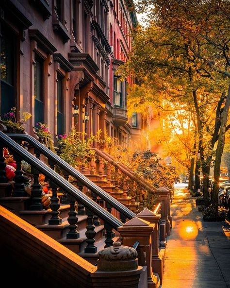 Upper West Side New York, West Side New York, New York Instagram, Upper West Side, West Side, Most Beautiful Places, Fall Colors, Times Square, Brooklyn