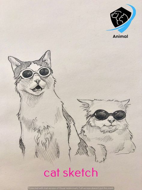 Sunglasses Sketch Illustration, Cat Drawing Sketches Easy, Cat With Sunglasses Drawing, Art Sketches Cat, Cat With Glasses Drawing, Cute Cat Sketches, Sketch Ideas Cute, Funny Cat Sketch, Cats Drawing Sketches