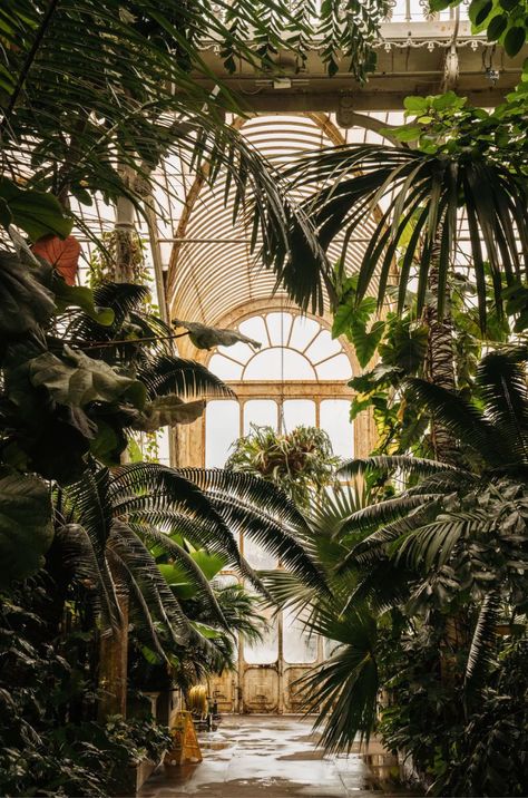 Urban Balcony, Lots Of Plants, Palm House, Royal Botanic Gardens, London Garden, Garden Architecture, Botanic Gardens, Kew Gardens, Glass House