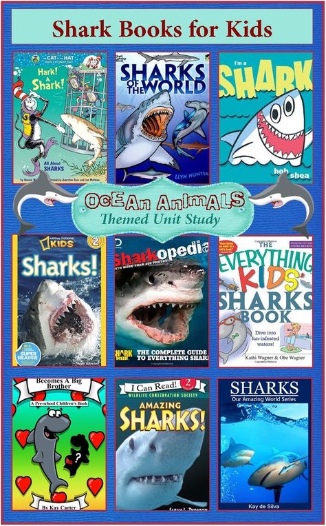 Shark Books, Shark Week Party, All About Sharks, Shark Facts, Ocean Unit, Sharks For Kids, Ocean Kids, Books For Children, Class Room