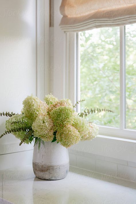 Limelight Hydrangeas, Limelight Hydrangea, Handmade Pottery, Window Sill, A Garden, Hydrangea, Royalty Free Stock Photos, Plants