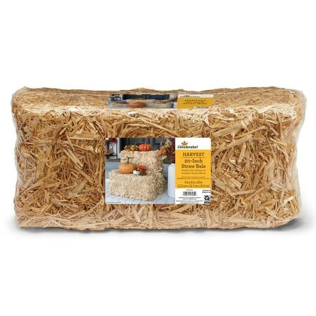 This decorative Way To Celebrate Harvest Straw Bale is made from high-quality, natural barley straw. Sun-baked straw has a rich, golden color that is perfect for indoor or outdoor home decor. The straw is bound with durable, rust-resistant, galvanized wire that can easily be clipped to spread straw on plant beds and landscaping. Display one bale by itself or stack a few together to create a fall porch or table display. Accent your harvest scene with pumpkins, gourds, scarecrows and potted mums. Fall Porch Straw Bales, Plant Beds, Soup Bar, Potted Mums, Straw Bales, Straw Bale, Outdoor Home Decor, Autumn Display, Fall Outdoor Decor