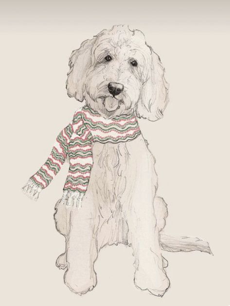 Goldendoodle Drawing, Labradoodle Drawing, Labradoodle Art, Goldendoodle Art, Australian Labradoodle, Dog Sketch, Animal Doodles, 강아지 그림, Golden Doodle