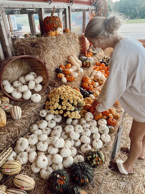 Farmers market in autumn Autumn Farmers Market, Autumn Market, Apple Pastry, Sugar Bush, Fall Market, Farmer Market, Boho Market, Support Local Farmers, Fall Mood