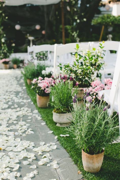 Country Potted Plants Wedding Aisle / http://www.himisspuff.com/potted-plants-wedding-decor-ideas/2/ Ceremony Flowers Aisle, Nature Themed Wedding, Wedding Plants, Wedding Ceremony Ideas, Aisle Flowers, Garden Weddings Ceremony, Boda Mexicana, Wedding Aisle Decorations, Garden Wedding Decorations