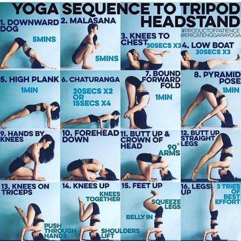 Your Core Muscles Are Going To Lift Your Legs Up And Maintain Your Body In The Headstand Place. Tripod Headstand, Yoga Headstand, Headstand Yoga, Yoga Handstand, Workout Bauch, Sup Yoga, Yoga Mantras, Yoga Sequence, Yoga Iyengar