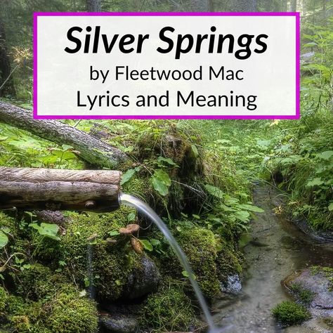 Silver Springs had a rough beginning. It actually lost it's spot on the album it was supposed to be on. The Silver Springs lyrics meaning had something... Silver Springs Tattoo, Fleetwood Mac Tattoo Lyrics, Silver Springs Lyrics, Lyric Meanings, Famous Song Lyrics, Fleetwood Mac Lyrics, Trumpet Music, Lyrics Meaning, Lyric Tattoos