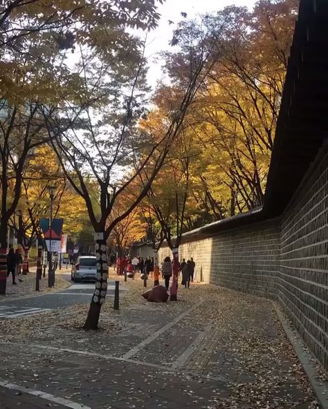 Environment Photography, Seoul South Korea, South Korean, Walkway, South Korea, Seoul, Palace, Street View, Exterior