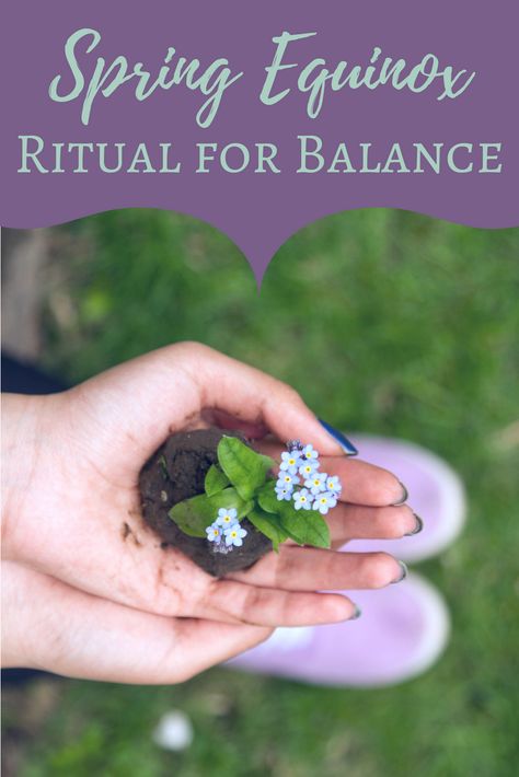 Spring Equinox Ritual for Balance | The Witch of Lupine Hollow Equinox Ritual, Spring Equinox Ritual, Ostara Ritual, Ritual Ideas, Ceremonial Magick, Solstice And Equinox, Traditional Witchcraft, Vernal Equinox, Spring Equinox