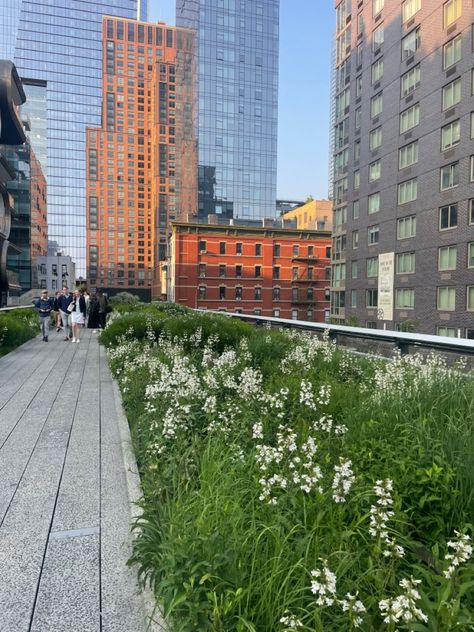 Summer Aesthetic New York, New York City Spring Aesthetic, Nyc In Summer Aesthetic, The Highline New York, New York City Flowers, Spring In New York Aesthetic, Summer New York Aesthetic, Nyc Aesthetic Spring, The Highline Nyc