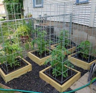 Build the Best Tomato Cages Ever! : 5 Steps (with Pictures) - Instructables Tanaman Tomat, Garden Boxes Raised, Tanaman Pot, Vertical Vegetable Garden, Plants Growing, Tomato Cages, Veg Garden, Pallet Garden, Tomato Garden