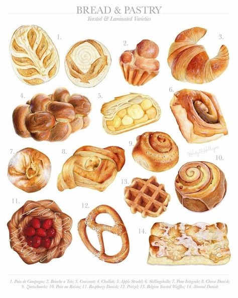 Pastries Illustration, Kendyll Hillegas, Bread And Pastry, Breads And Pastries, Bread Pastry, Desserts Drawing, Dessert Illustration, Food Sketch, Food Illustration Art