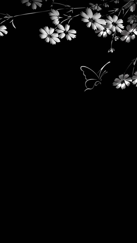 Black Wallpaper Flower, White Flower Background, Gold Wallpaper Background, Wallpaper Screen, Wallpaper Flower, Butterfly Wallpaper Iphone, Flowery Wallpaper, Floral Wallpaper Phone, Black Background Wallpaper