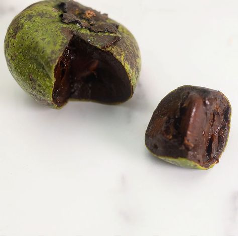 Black Sapote, Pudding Flavors, Unique Fruit, Prevent Hair Fall, Garden Fruit, Unique Vegetables, Tree Growing, Greenhouse Growing, Asian Grocery