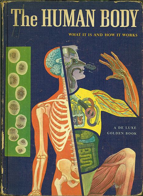 The Human Body. Text by Mitchell WIlson illustrations by Cornelius De Witt. Take a look through this amazing gem Science Textbook, Science Illustration, Bio Art, The Body Book, Vintage Medical, Scientific Illustration, Unique Book, Medical Illustration, Science Books