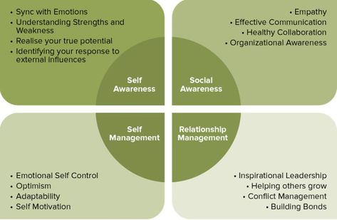 Talent Development, Conflict Management, Core Competencies, Effective Leadership, Leadership Programs, Social Awareness, Leadership Training, Stressful Situations, Relationship Management