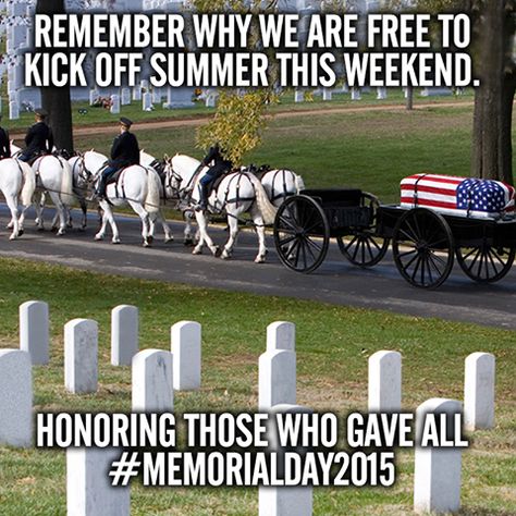 Memorial Day Reason, Support Our Troops, Fallen Heroes, Military Heroes, Real Hero, American Soldiers, Military Men, American Heroes, American Pride