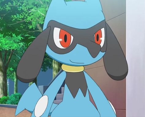 Riolu Screenshot Lucario Anime Screenshots, Pokemon Screenshots, Riolu Pokemon, Lucario Art, Lucario Pokemon, Pokemon Craft, Sonic Fan Characters, Pokemon Collection, Pokemon Funny